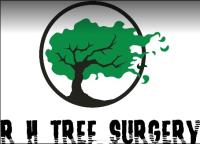 R H Tree Surgery image 1